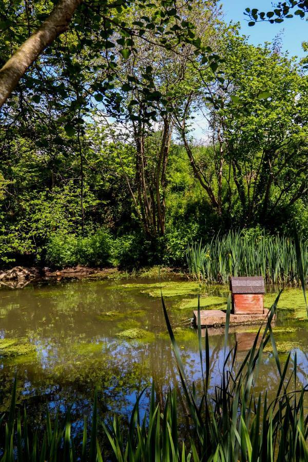 Ty La Source Bed & Breakfast Plestin les Greves Bagian luar foto